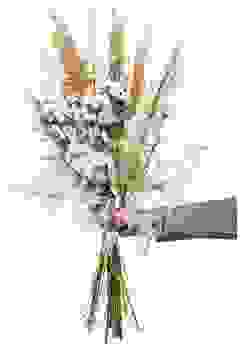 Cherry Blossom Groß