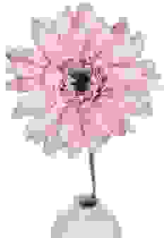 Gerbera Rosa