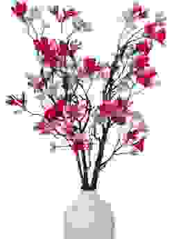 Heptacodium