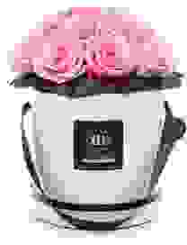 Large - Classic White - Rosa