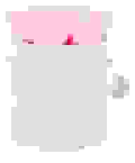 Medium - Premium White - Rosa