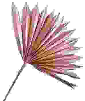 Palmsonne Roségold
