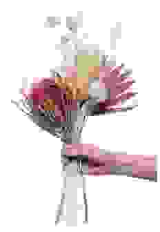 Pink Exotic
