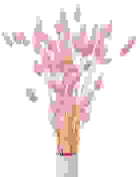 Samtgras Rosa (1 Bund)