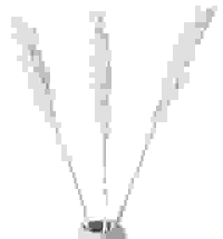 Sorghumhirse Weiss (3 Stiele)