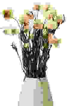 Strohblumen Gelb
