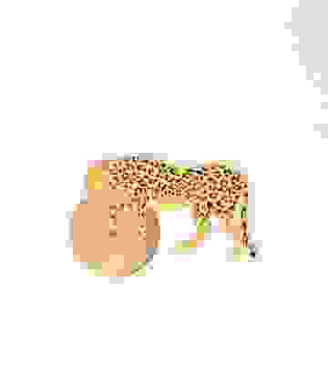 Savanna Pizza Cutter Gepard