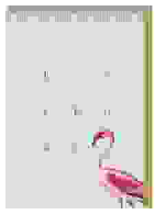 Birthday Flamingo Grußkarte