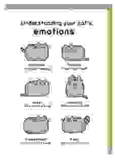 Understanding Your Cat’s Emotions Pusheen Grußkarte