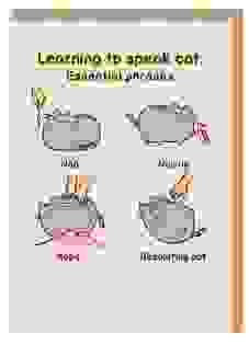 Learning To Speak Cat: Essential Phrases Pusheen Grußkarte