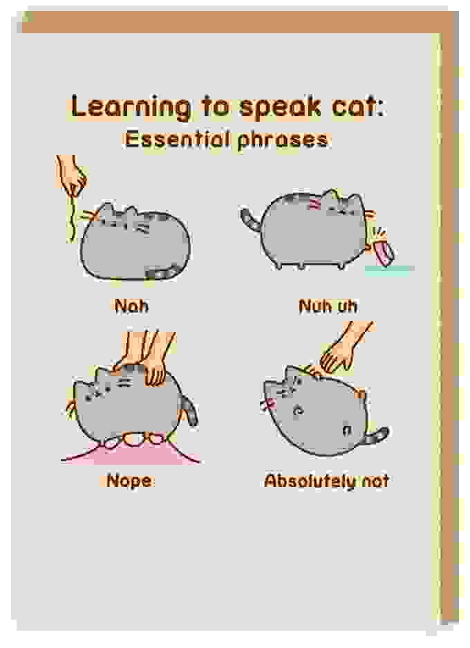 Learning To Speak Cat: Essential Phrases Pusheen Grußkarte