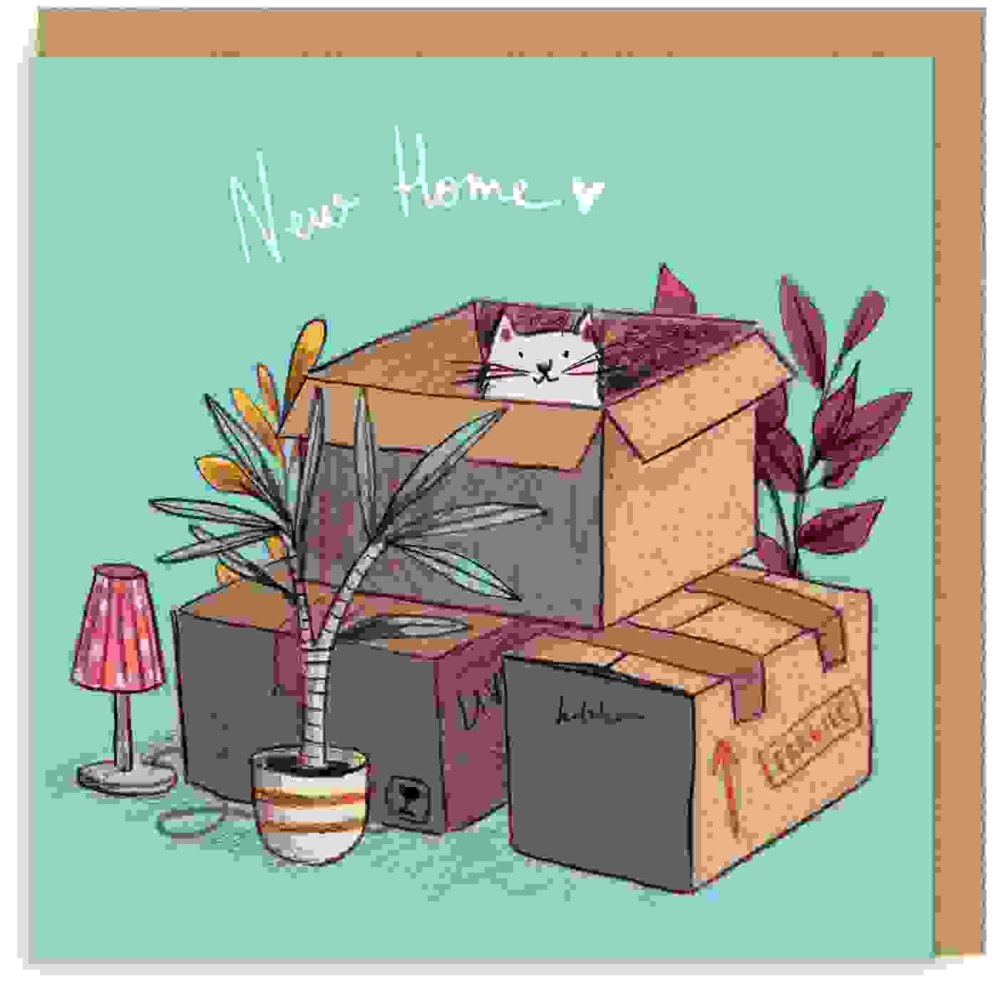 New Home Cat Boxes Grußkarte