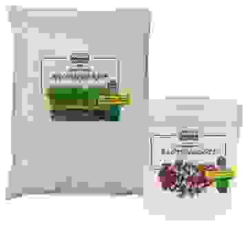 Balkonblumen Paket für langanhaltende Blütenpracht