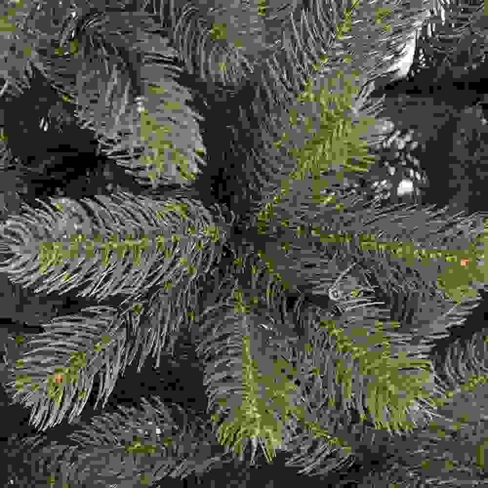 Casa Weihnachtsbaum - 140cm inkl. Christbaumbeleuchtung