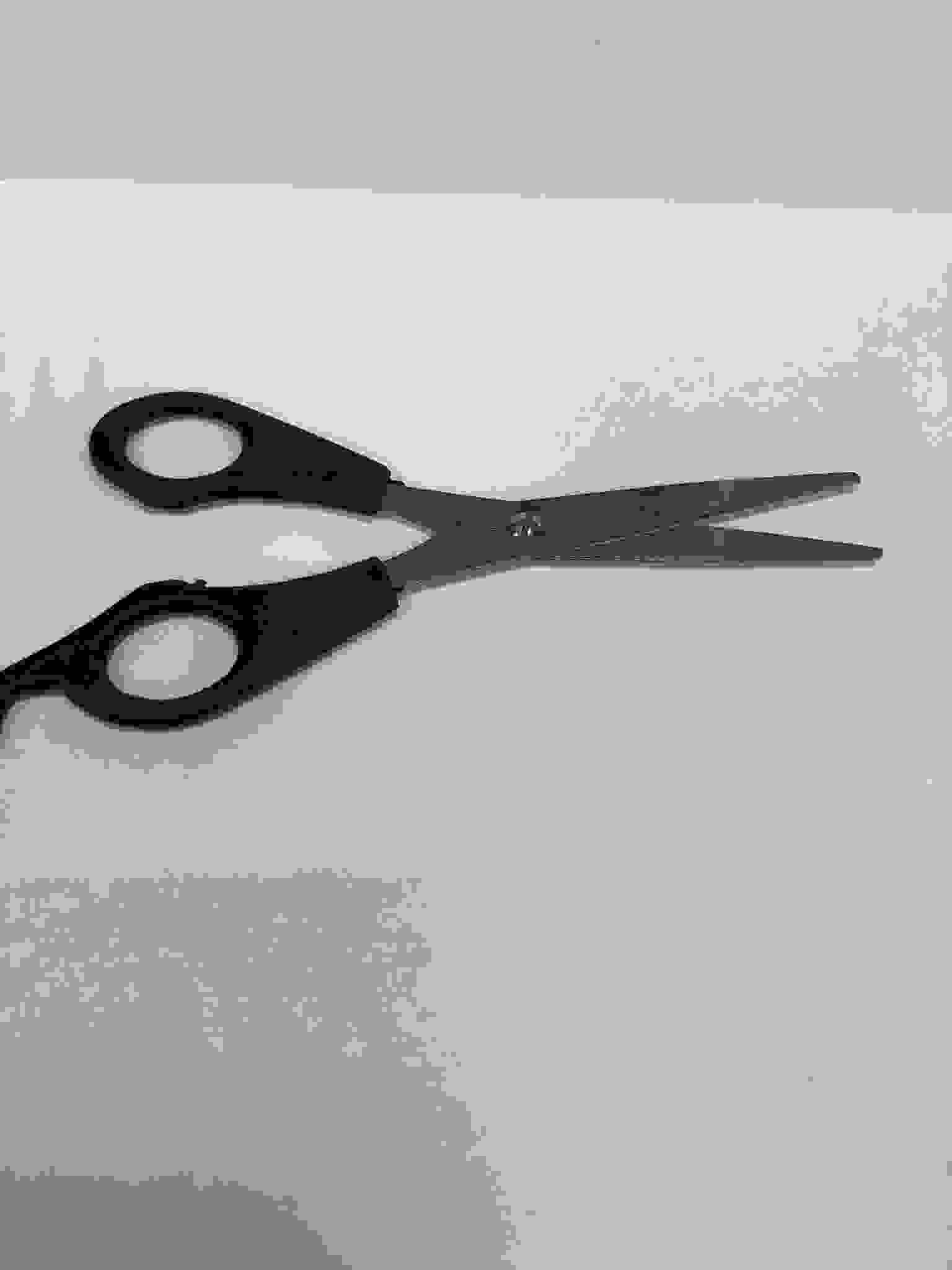 Eleganza Clippers Trimmer für Haare und Bart-Elektrische Haarschneider Set- 10 Stück Set