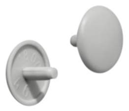 Häfele Abdeckkappe für Spannplattenschrauben mit Kopflochbohrung 2,5 mm PZ2