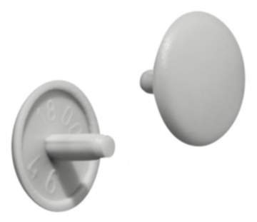 Häfele Abdeckkappe für Spannplattenschrauben mit Kopflochbohrung 2,5 mm PZ2