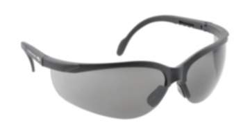 Högert Schutzbrille MAINZ mit verstellbarem Bügel