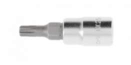 Högert Steckschlüsseleinsatz 1/4 Zoll Torx TX