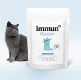 Immunbooster für Katze