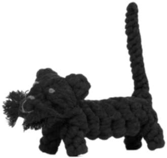 Kater Kasanova
