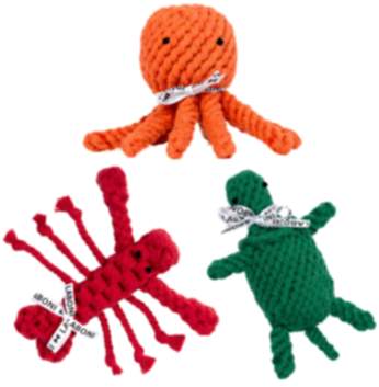 Little Ocean Bundle