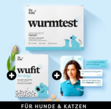 Paket gegen Würmer für Hund und Katze