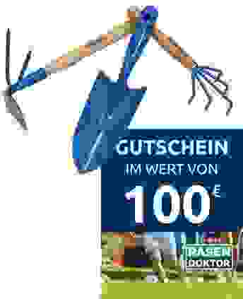 Paket Kleingeräte-Set + 100€ Gutschein