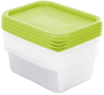 Set Gefrierdosen 4 x 0.5 l DOMINO