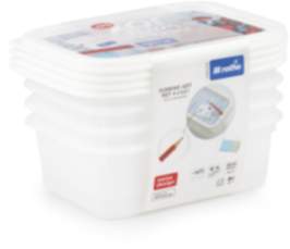 Set Gefrierdosen 4 x 0.5 l DOMINO