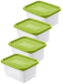 Set Gefrierdosen 4 x 0.75 l DOMINO