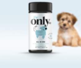 the only - 8 gesundheitliche Vorteile für deinen Hund