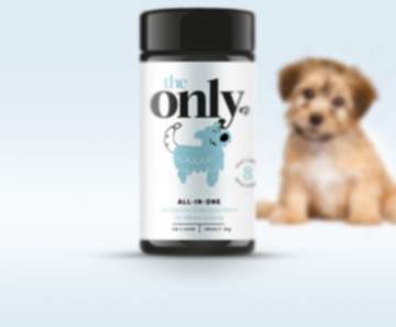 the only - 8 gesundheitliche Vorteile für deinen Hund