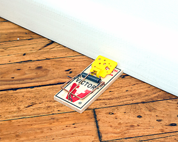 Victor Mousetrap - Holz