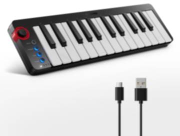Donner N-25 MIDI-Keyboard-Controller mit 25 Tasten - N-25  (25 Tasten)