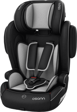 Flux Plus