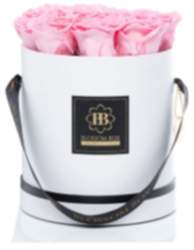Large - Classic White - Rosa