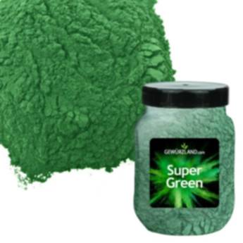 Super Green Mischung mit Weizengras, Gerstengras, Moringa, Baobab, Spirulina und Chlorella - Gewürze kaufen