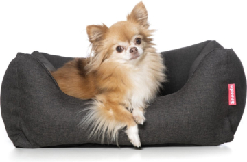 Snoozle Donut Hundekorb - weiches und luxuriöses Hundekissen - Hundebett - waschbar - Hundekörbe - 60 x 44cm