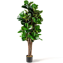 Coast 1,5 m künstlicher Feigenbaum Kunstpflanzen Decipper Lance Zimmerpflanze mit Blumentopf