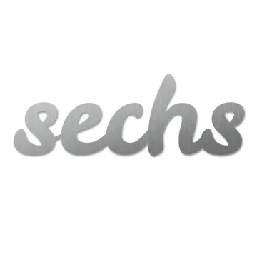 Edelstahl-Hausnummer als Zahlwort - Leckerli - Höhe 100 mm - bis 5 Buchstaben
