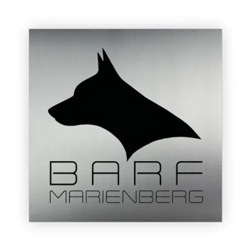 Firmenlogo aus Edelstahl mit Acryl und Farbe zur Auswahl 500 x 500 mm