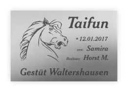 Hochwertiges Schild für Pferdebox aus Edelstahl mit Lasergravur 30 x 20 cm