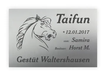 Hochwertiges Schild für Pferdebox aus Edelstahl mit Lasergravur 30 x 20 cm