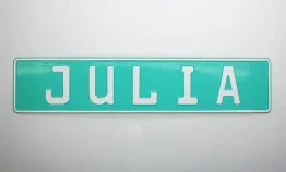 Individuelles Kennzeichen mit Wunschname und Symbol mint
