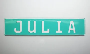 Individuelles Kennzeichen mit Wunschname und Symbol mint