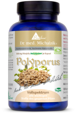 Polyporus | 1000mg Polyporus | 120 Kapseln |  Dr. med. Michalzik