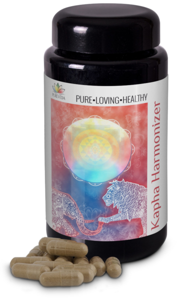 Pureveda Kapha-Harmonizer | 600mg Bio-Bibhitaki | 90 Kapseln |  Dr. med. Michalzik