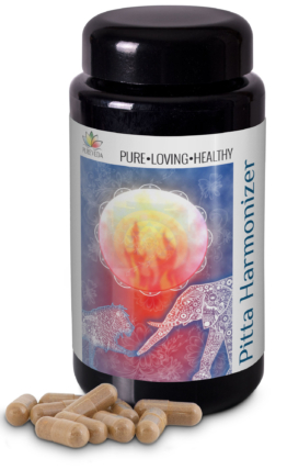 Pureveda Pitta-Harmonizer | 600mg Bio-Amalaki | 90 Kapseln |  Dr. med. Michalzik