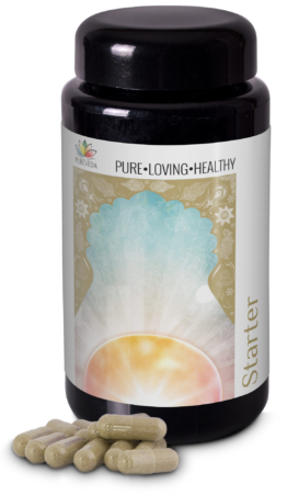 Pureveda Starter | 420mg Bio-Guggulu | 90 Kapseln |  Dr. med. Michalzik